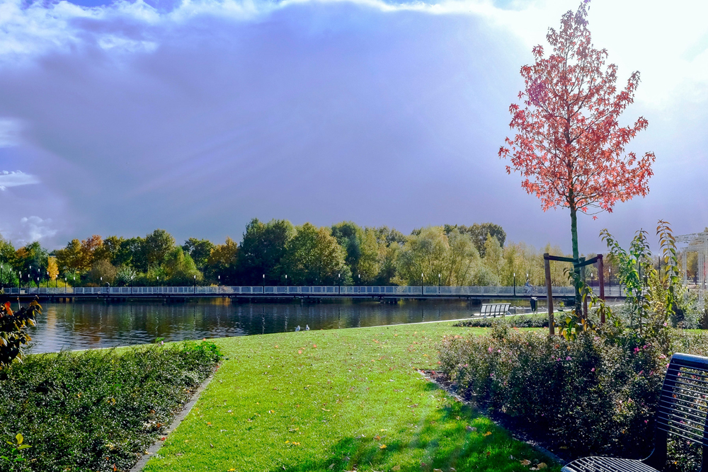 Walla Walla Point Park